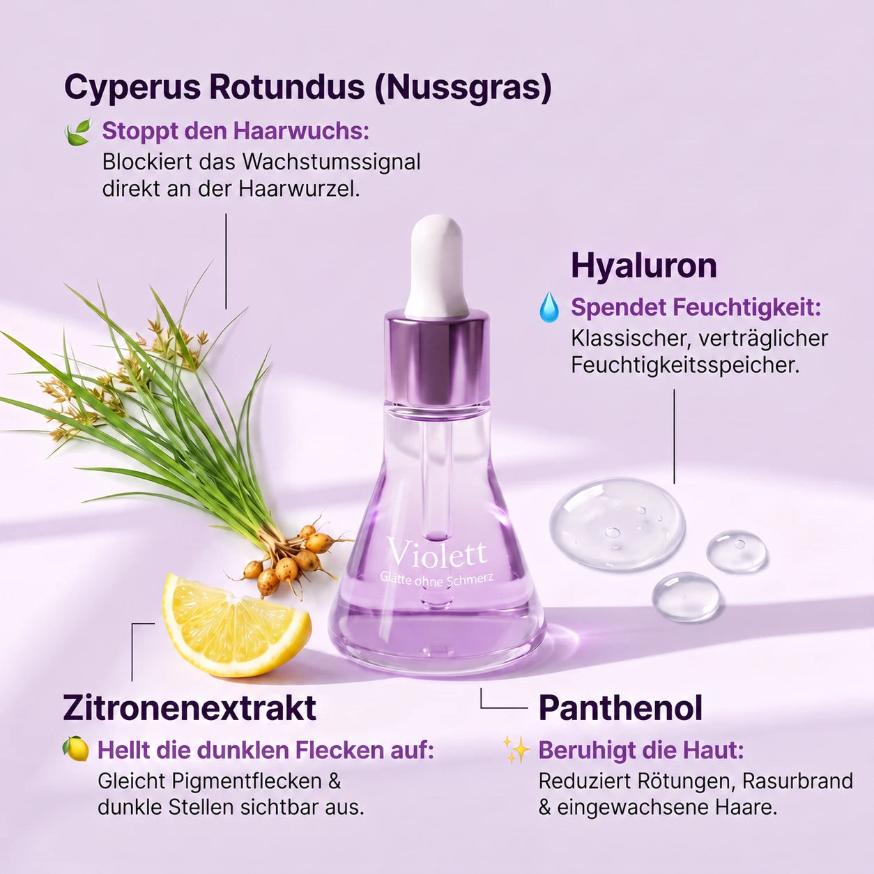 Violett – Pflanzlicher Haarwuchsstopp